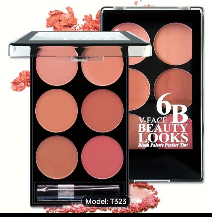 6 Color Waterproof Blush Palette